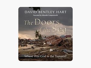 The Doors of the Sea: Where Was God in the Tsunami? by David Bentley Hart