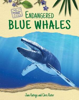 Endangered Blue Whales by Jane Katirgis
