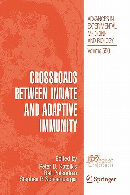 Crossroads Between Innate and Adaptive Immunity by 