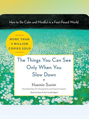 The Things You Can See Only When You Slow Down: Bring calm to your life with the ultimate mindfulness guide from a Buddhist monk by Haemin Sunim, Haemin Sunim