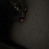 kgh1798's profile picture
