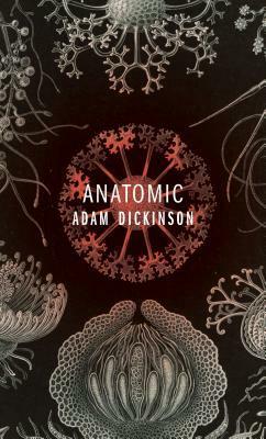 Anatomic by Adam Dickinson