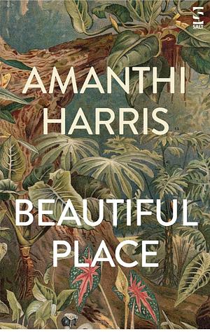 Beautiful Place by Amanthi Harris