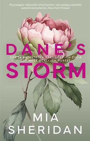 Dane's Storm by Mia Sheridan