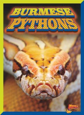 Burmese Pythons by Barbara Ciletti