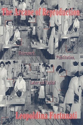 Arcane of Reproduction: Housework, Prostitution, Labor and Capital by Leopoldina Fortunati