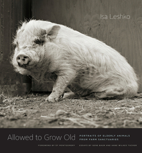 Allowed to Grow Old: Portraits of Elderly Animals from Farm Sanctuaries by Isa Leshko