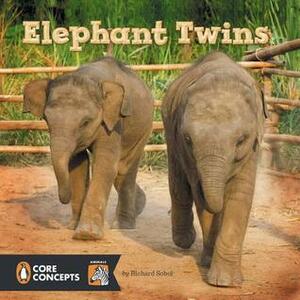 Elephant Twins by Richard Sobol