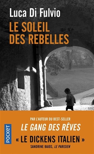 Le Soleil des rebelles by Luca Di Fulvio