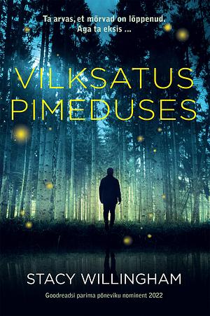 Vilksatus pimeduses by Stacy Willingham