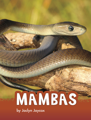 Mambas by Jaclyn Jaycox