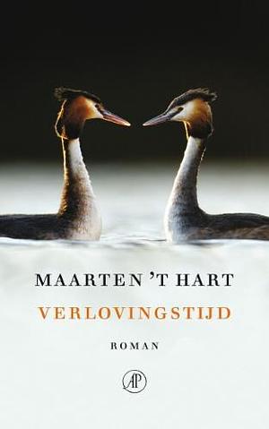 Verlovingstijd by Maarten 't Hart