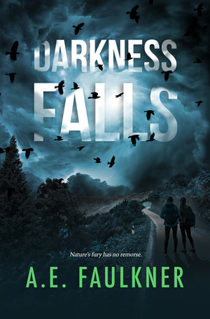 Darkness Falls (Nature's Fury, #1) by A.E. Faulkner