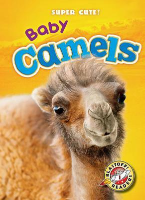 Baby Camels by Megan Borgert-Spaniol