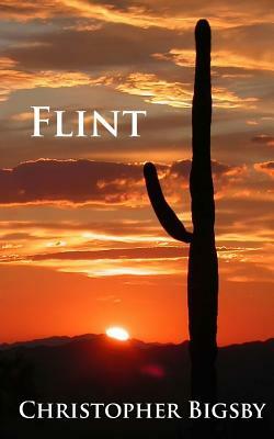 Flint by Christopher Bigsby