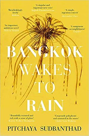 Bangkok Wakes to Rain by Pitchaya Sudbanthad