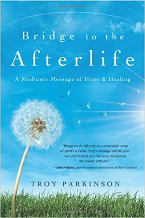 Bridge to the Afterlife: A Medium's Message of Hope & Healing by Troy Parkinson