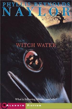 Witch Water by Phyllis Reynolds Naylor