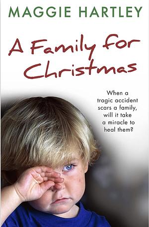 A Family For Christmas by Maggie Hartley