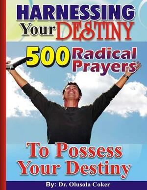 HARNESSING Your DESTINY: 500 Radical Prayers to possess Your Destiny by D. K. Olukoya