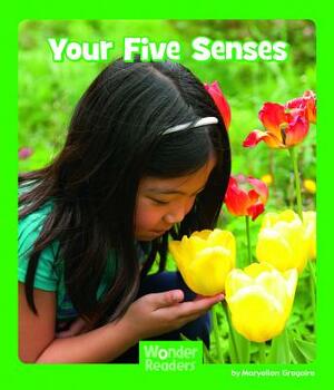 Your Five Senses by Maryellen Gregoire