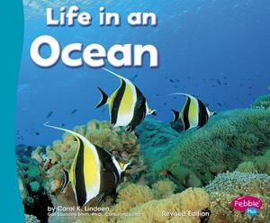 Life in an Ocean by Carol K. Lindeen