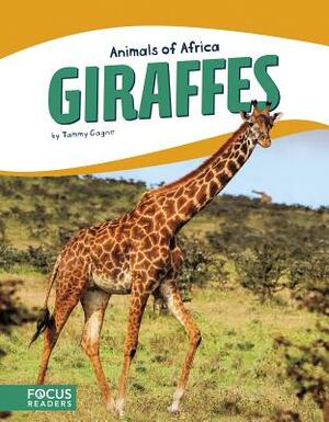 Giraffes by Tammy Gagne
