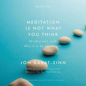 Meditation Is Not What You Think (Book #1): Mindfulness and Why It Is So Important by Jon Kabat-Zinn