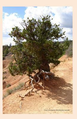 Tree in the dunes 2014 Weekly Calendar: 2014 week by week calendar with a cover photo of a tree growing in the sand dunes by K. Rose