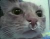 rlyne's profile picture
