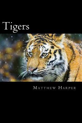 Tigers: A Fascinating Book Containing Tiger Facts, Trivia, Images & Memory Recall Quiz: Suitable for Adults & Children by Matthew Harper