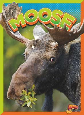 Moose by Gail Terp