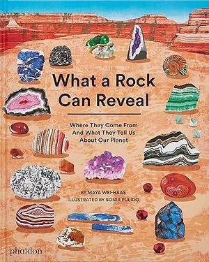 What a Rock Can Reveal: Where They Come From And What They Tell Us About Our Planet by Sonia Pulido, Maya Wei-Haas