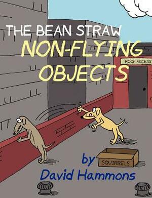 The Bean Straw: Non-Flying Objects by David Hammons