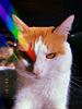 jjoey's profile picture