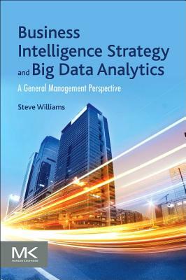 Business Intelligence Strategy and Big Data Analytics: A General Management Perspective by Steve Williams
