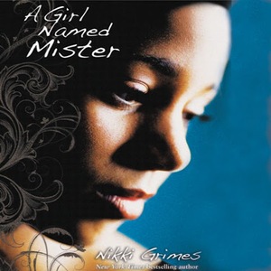 A Girl Named Mister by Nikki Grimes