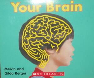 Your Brain by Gilda Berger, Melvin A. Berger