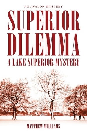 Superior Dilemma by Matthew Williams