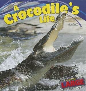 A Crocodile's Life by Sara Antill