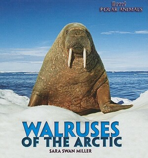 Walruses of the Arctic by Sara Swan Miller