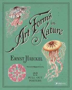 Art Forms in Nature: 22 Pull-Out Posters by Ernst Haeckel