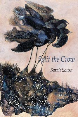 Split the Crow by Sarah Sousa