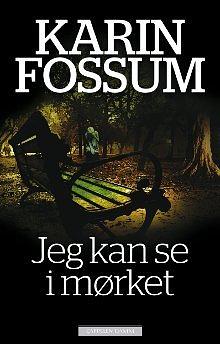 Jeg kan se i mørket by Karin Fossum