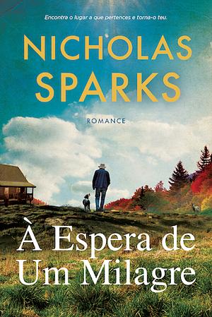 À Espera de um Milagre by Nicholas Sparks