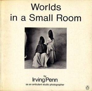 Worlds in a Small Room by Irving Penn