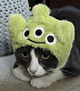 vy_n's profile picture