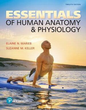 Essentials of Human Anatomy & Physiology Plus Mastering A&p with Pearson Etext -- Access Card Package by Elaine Marieb, Suzanne Keller