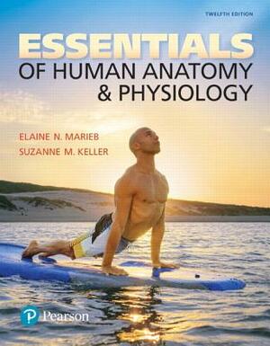 Essentials of Human Anatomy & Physiology Plus Mastering A&p with Pearson Etext -- Access Card Package by Suzanne Keller, Elaine Marieb