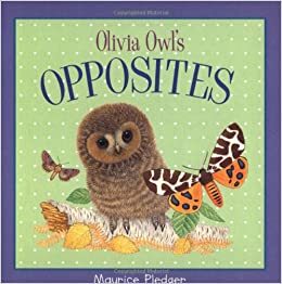 Olivia Owl's Opposites by Maurice Pledger